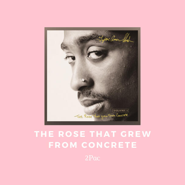 the rose that grew from concrete